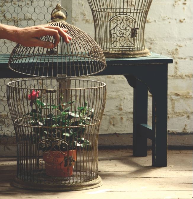 Home Accents Bird Cage