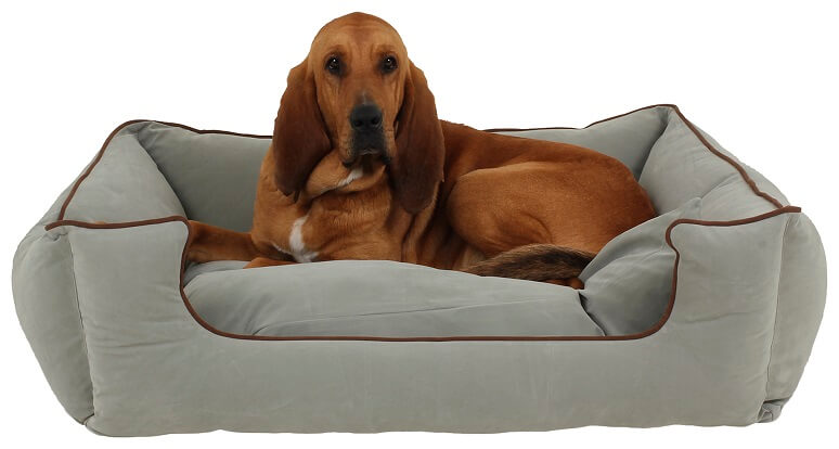 Large dog bed in a blue color with a dog with floppy ears laying on it.