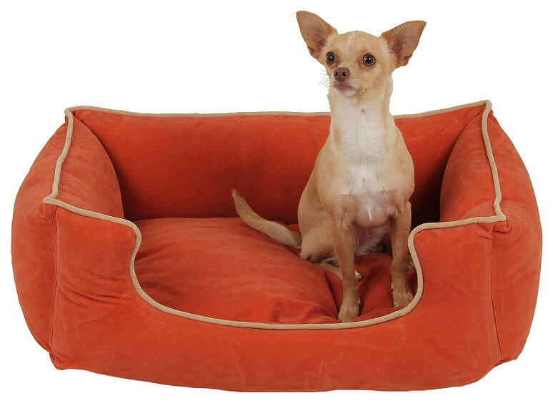 Small dog bed in red with a small dog sitting in it.